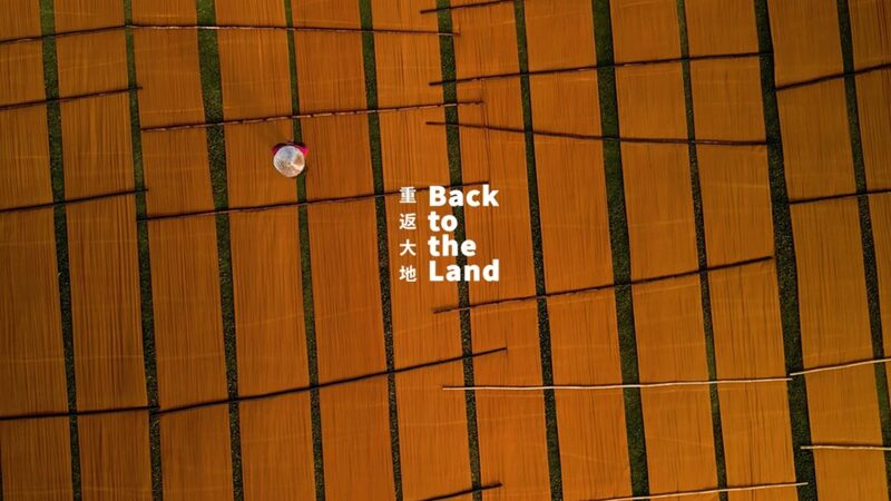 A living canvas of colors video poster