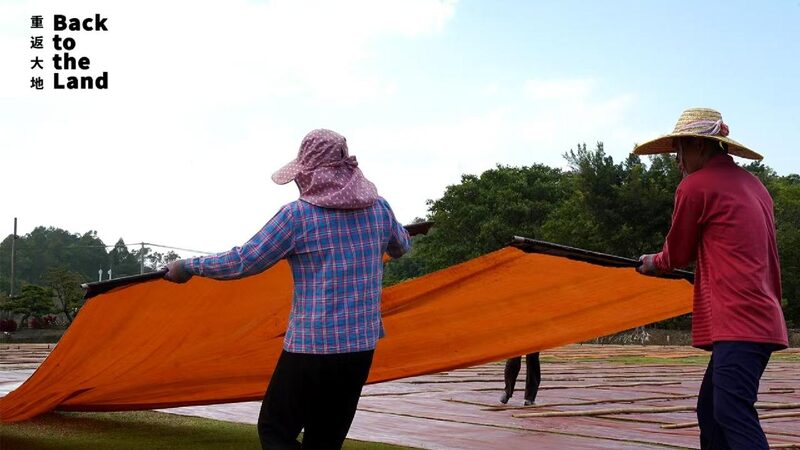 Art_woven_on_the_earth - My Global News: Young Voices Art woven on the earth