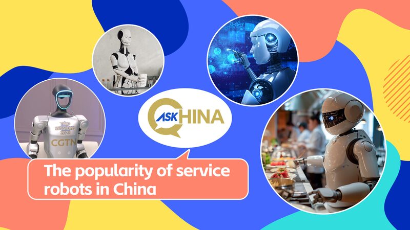 'Ask China': The popularity of service robots in China video poster