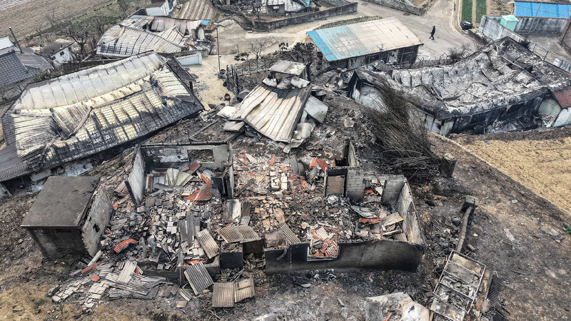 At least 24 dead as wildfires ravage southern South Korea