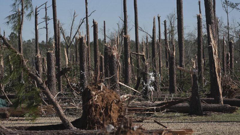 At least 37 dead as tornadoes, wildfires and dust storms hit U.S.