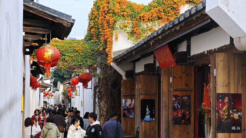 Blooming flame vines add charm to historic block in Fuzhou
