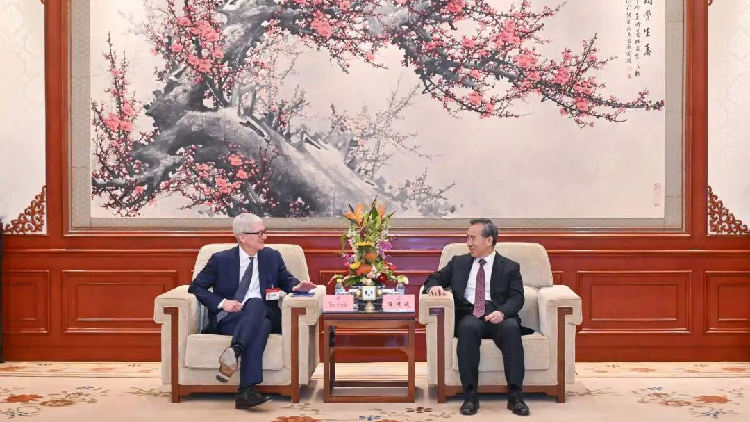 CDF 2025: Global business leaders express confidence in China's future