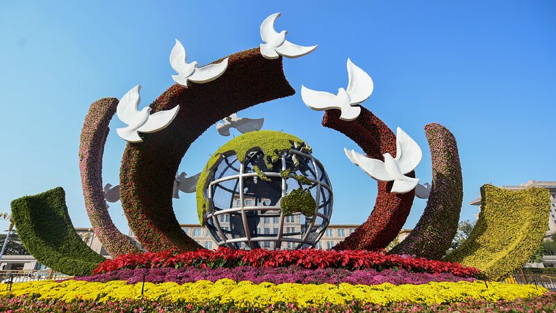 Poll Shows the World Cheers for China’s Global Actions! πβ¨ CGTN Poll: China's major-country diplomacy earns global praise