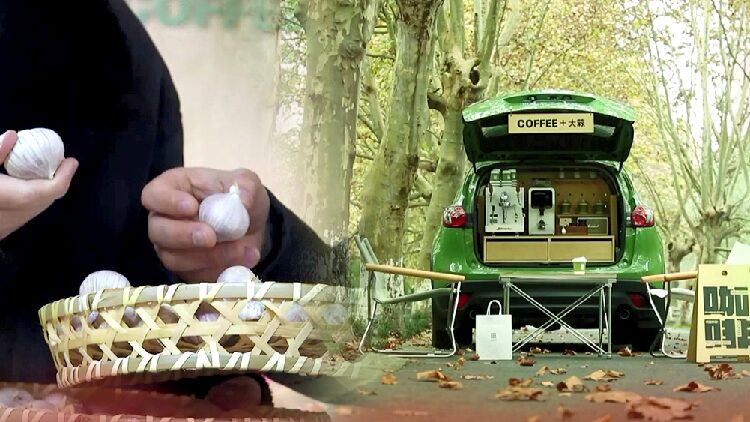 CGTN The Vibe 20250311