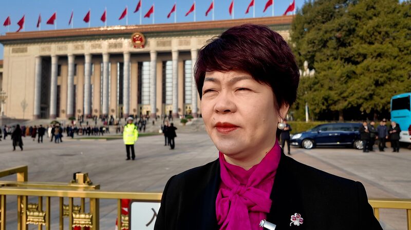 CPPCC_member_Yu_Ruifen_backs_AI_digitalization_in_snack_industry_poster - My Global News: Young Voices CPPCC member Yu Ruifen backs AI, digitalization in snack industry video poster