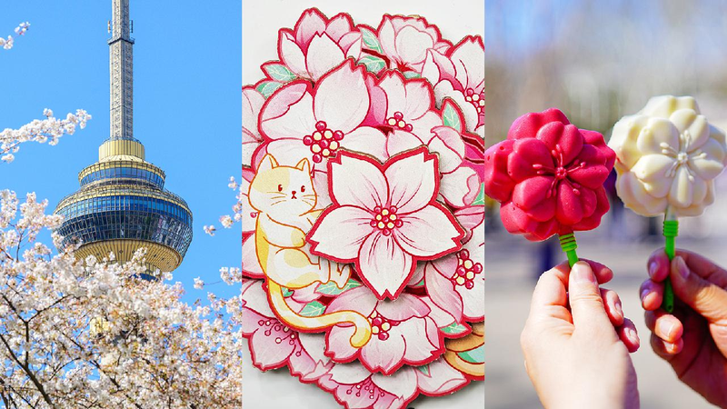 Cherry_blossom-themed_products_add_to_spring_vibes_at_Yuyuantan_Park - My Global News: Young Voices Cherry blossom-themed products add to spring vibes at Yuyuantan Park