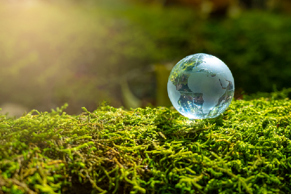 China and France Join Forces to Fight Climate Change! π China, France issue joint statement on climate change