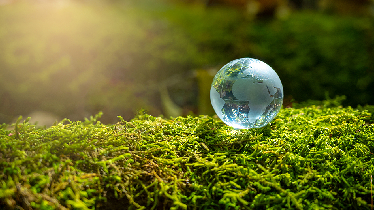 China, France issue joint statement on climate change