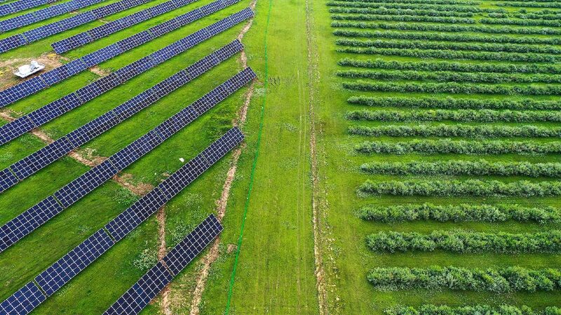 China's green development contributes to global climate action