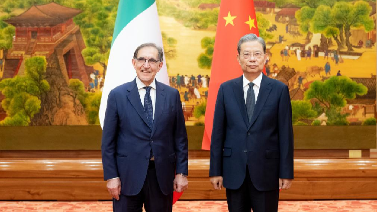 Chinas_top_legislator_holds_talks_with_Italys_Senate_president - My Global News: Young Voices China's top legislator holds talks with Italy's Senate president