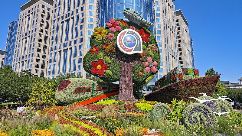 Chinese_FM_No_global_modernization_without_African_modernization_poster - My Global News: Young Voices Chinese FM: No global modernization without African modernization video poster