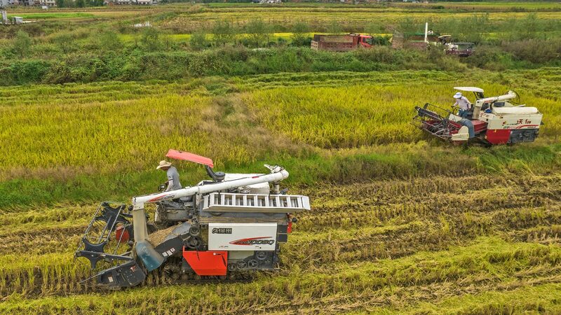 Chinese_premier_emphasizes_need_to_safeguard_farm_produce_supply - My Global News: Young Voices Chinese premier emphasizes need to safeguard farm produce supply