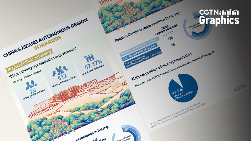 Graphics: Ethnic minority representation in Xizang