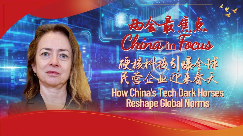 China’s Tech Dark Horses Reshaping Global Norms π How China's tech dark horses reshape global norms video poster