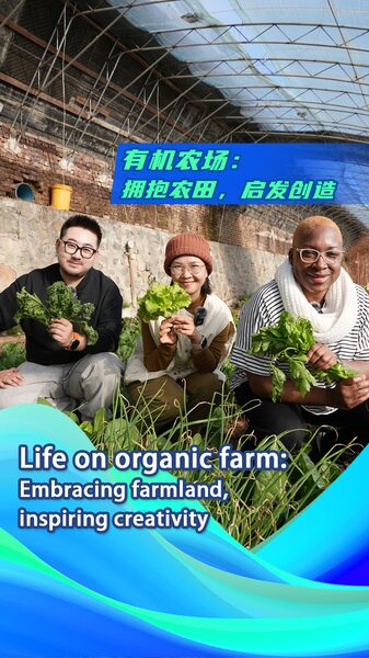 Life_on_organic_farm_Embracing_farmland_inspiring_creativity_poster - My Global News: Young Voices Life on organic farm: Embracing farmland, inspiring creativity video poster