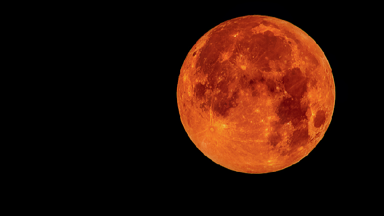 Live_Dont_miss_the_first_blood_moon_since_2022 - My Global News: Young Voices Live: Don't miss the first 'blood moon' since 2022!