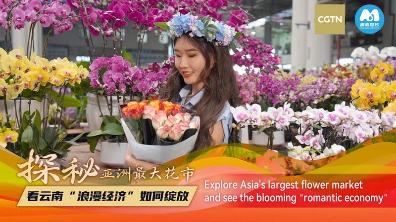 Live_Enjoy_a_wonderful_floral_journey_at_Asias_largest_flower_market_poster - My Global News: Young Voices Live: Enjoy a wonderful floral journey at Asia's largest flower market video poster
