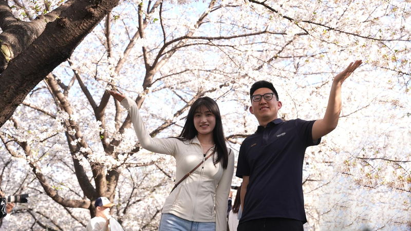 Live: Unlocking how poetry and code share the same spring