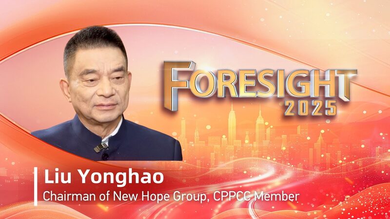 Business Leader Shares Ideas on Helping Private Companies Grow π New Hope Group chairman praises new direction for private enterprises video poster