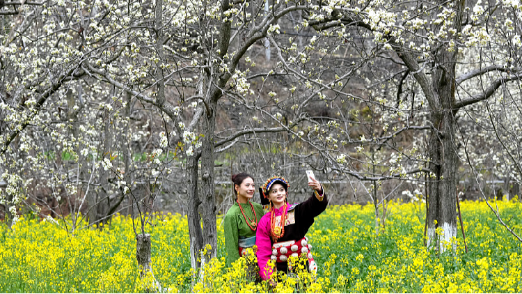 Pear blossoms sparkle in a rural Sichuan village