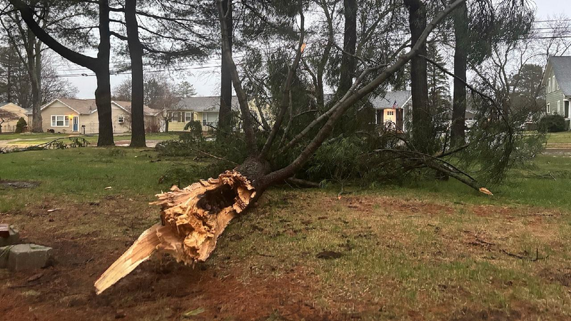 Rain_ice_cut_power_across_Great_Lakes_as_Tennessee_braces_for_storms - My Global News: Young Voices Rain, ice cut power across Great Lakes as Tennessee braces for storms