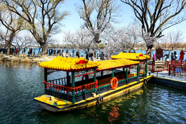 Spring_beauty_at_the_Summer_Palace - My Global News: Young Voices Spring beauty at the Summer Palace