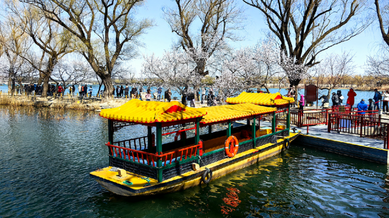 Spring beauty at the Summer Palace