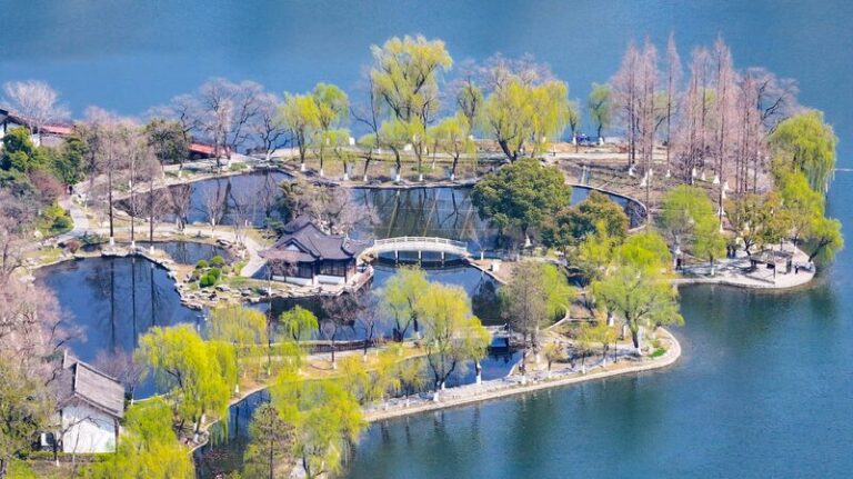 Spring blossoms in Nanjing park delight visitors