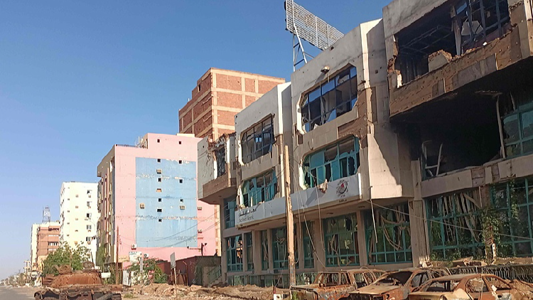 Sudan's army chief pledges full victory over paramilitary forces