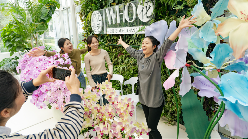 The meaning of 'local' in China