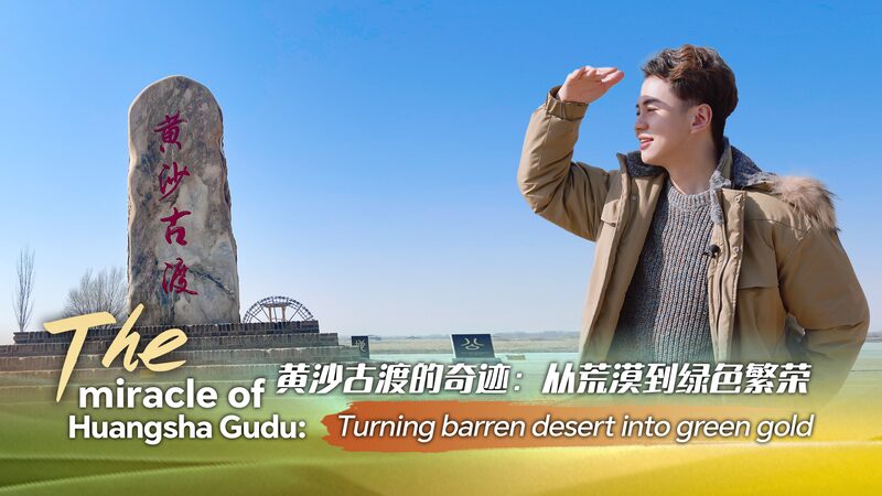 The_miracle_of_Huangsha_Gudu_Turning_barren_desert_into_green_gold_poster - My Global News: Young Voices The miracle of Huangsha Gudu: Turning barren desert into green gold video poster