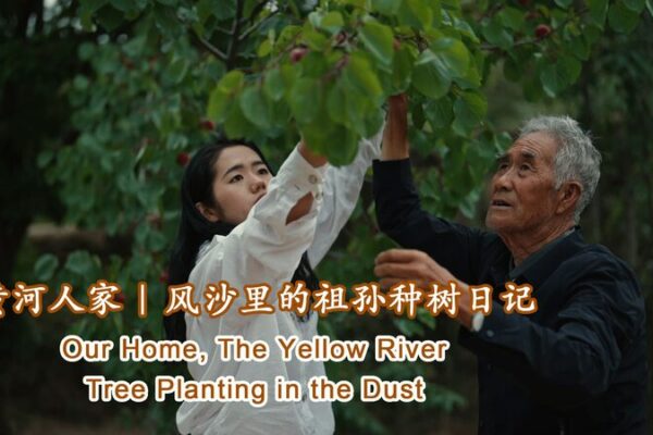 Tree planting in the dust: A grandfather-granddaughter story video poster
