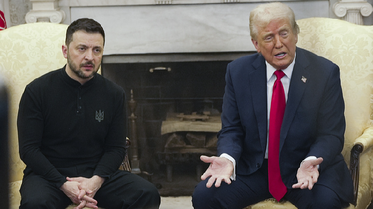 Trump says Zelenskyy trying to 'back out' of rare earth minerals deal