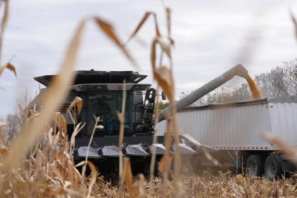 How Tariffs Are Making Life Tough for U.S. Farmers π Trump's tariffs hurt US farmers, deepening agricultural burdens