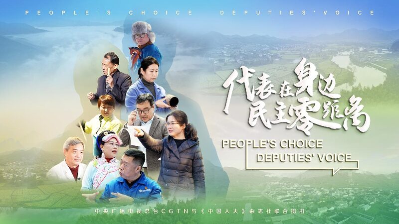 Watch: NPC deputies in action for the people