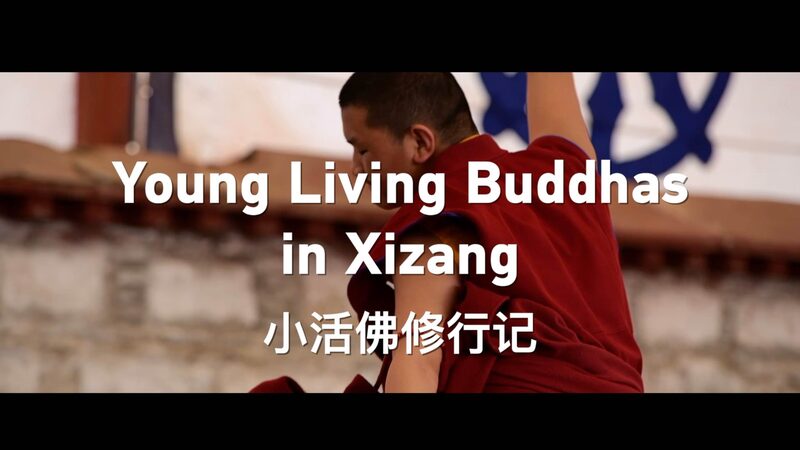 Young_Living_Buddhas_in_Xizang_poster - My Global News: Young Voices Young Living Buddhas in Xizang video poster