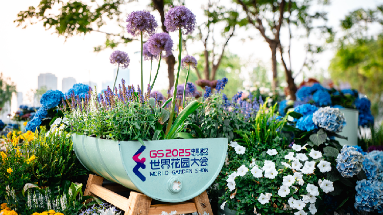 2025_World_Garden_Show_to_open_in_Wuhan - My Global News: Young Voices 2025 World Garden Show to open in Wuhan
