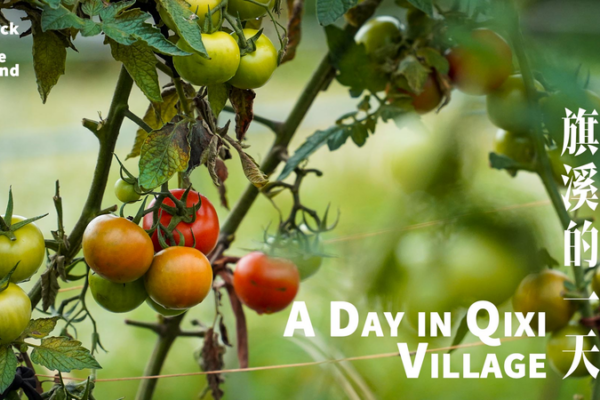 Discover the Magic of Qixi Village: Where Tradition Meets Innovation! A day in Qixi Village video poster