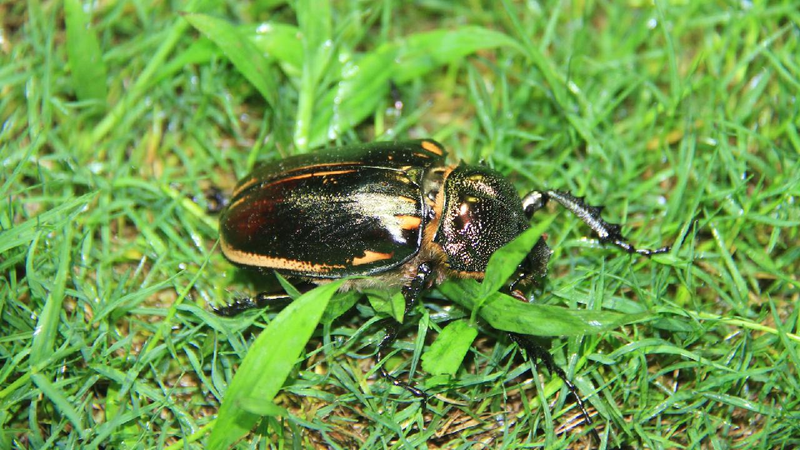 A green long march: Young voices shaping China's ecological future