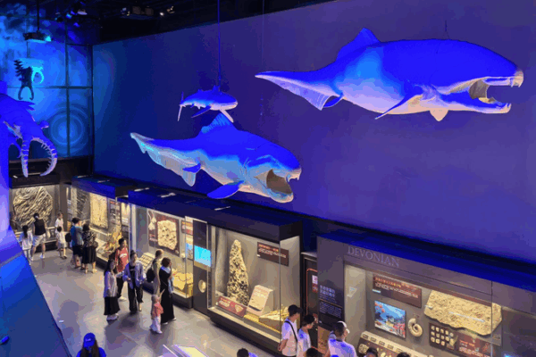 Dive into the Ancient Oceans: Fossil Treasures Await at Tianjin’s Maritime Museum Ancient fossils a testament of marine community with shared future