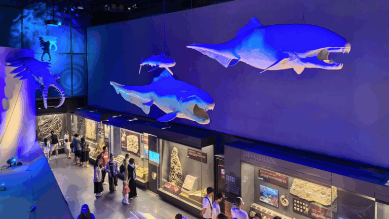 Ancient fossils a testament of marine community with shared future