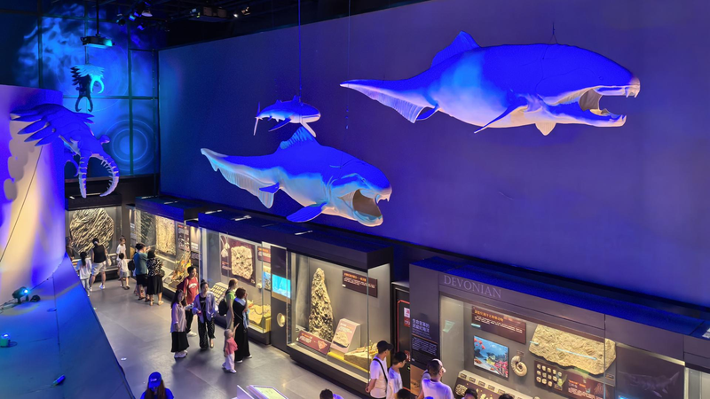 Ancient fossils a testament of marine community with shared future