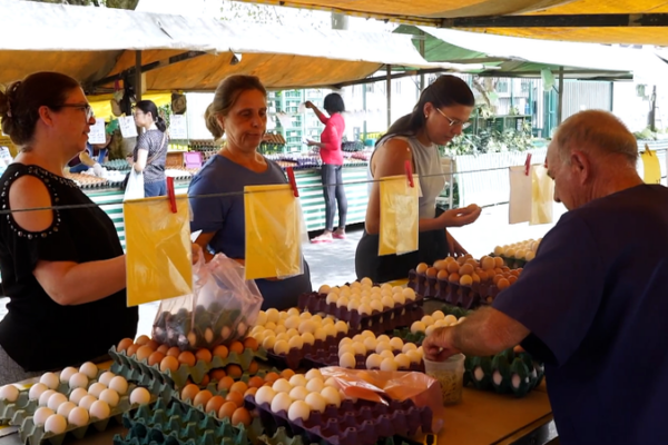 Egg Prices in Brazil Soar as Exports to U.S. Surge 🥚🌎 Brazil’s egg prices soar as exports surge amid U.S. shortage video poster