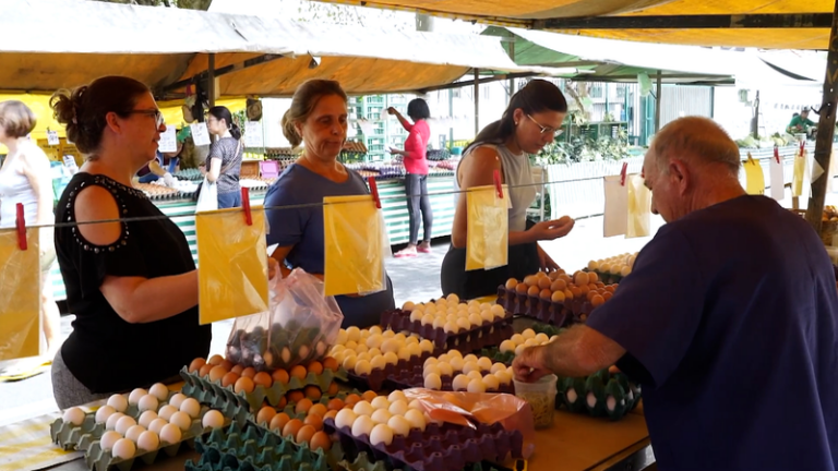 Brazil’s egg prices soar as exports surge amid U.S. shortage video poster