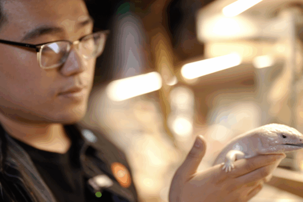 Yuki’s Reptile Museum: Turning Fear into Fascination in Beijing Bridging fear and fascination through education video poster