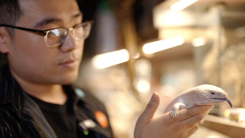 Bridging fear and fascination through education video poster