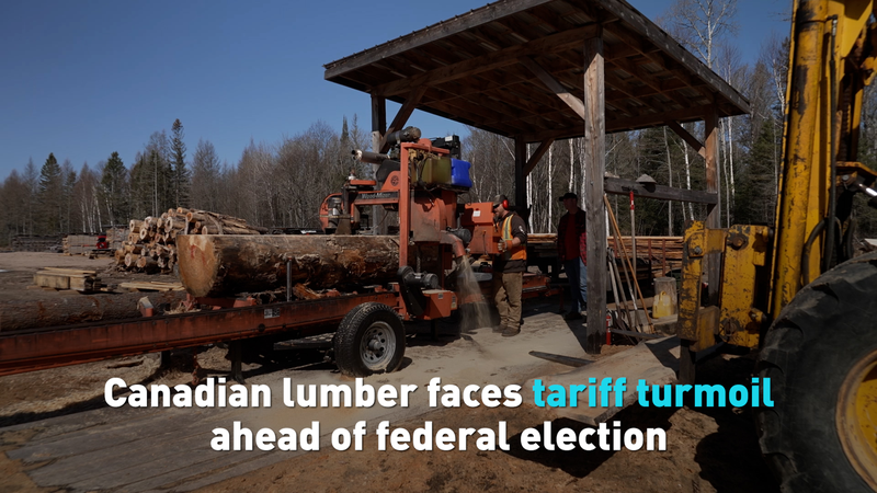 Canadian_lumber_faces_tariff_turmoil_ahead_of_federal_election_poster - My Global News: Young Voices Canadian lumber faces tariff turmoil ahead of federal election video poster