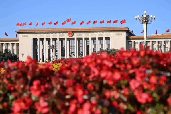 China_adopts_law_dedicated_to_promoting_private_sector - My Global News: Young Voices China adopts law dedicated to promoting private sector
