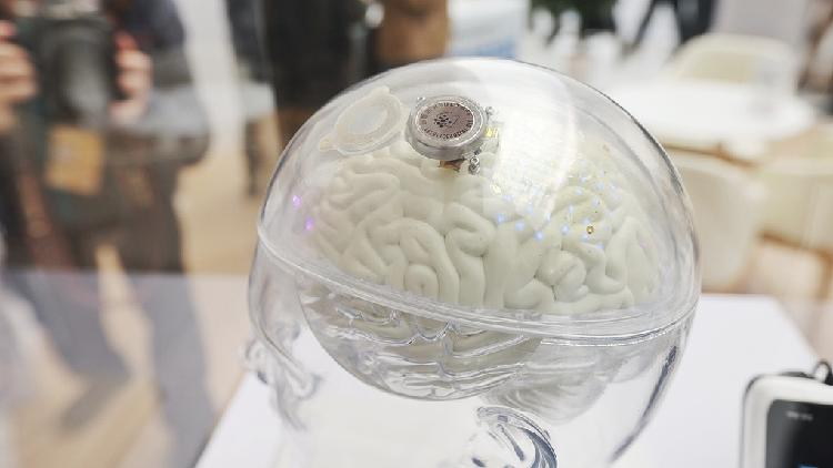 China advances BCI research and policy at Zhongguancun Forum